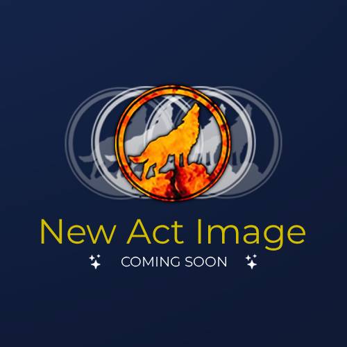 Aerial Artists
