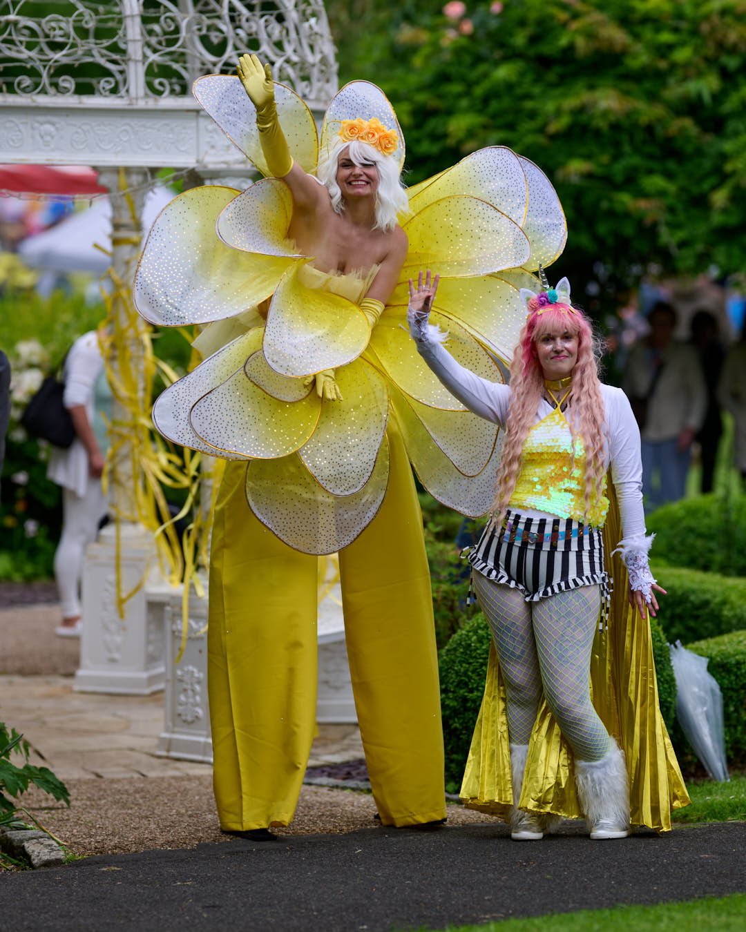 Lily the Flower